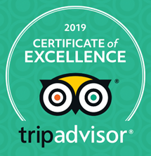 TripAdvisor 2019 - Excellence.PNG