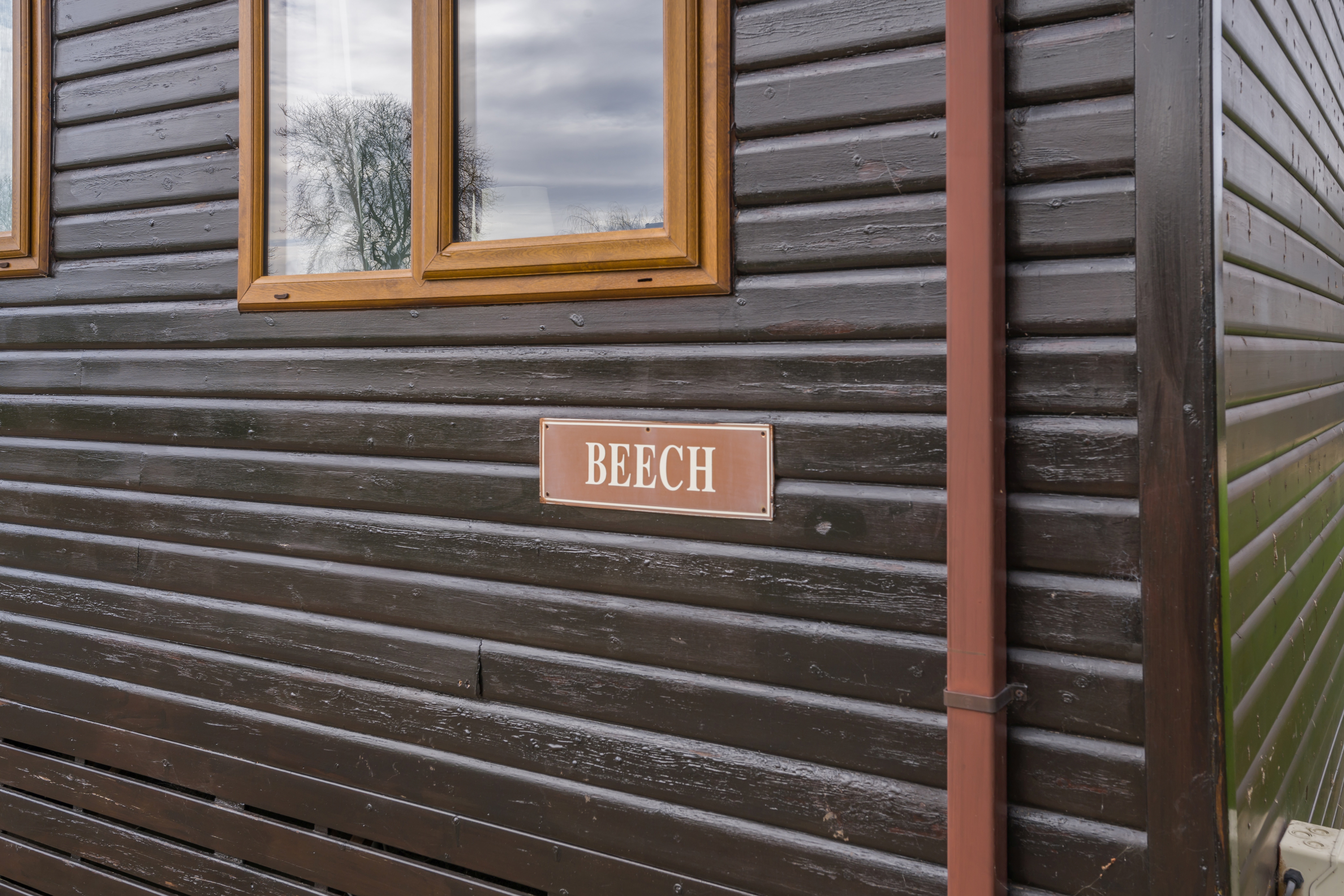 8677725-Beech-exterior01.jpg
