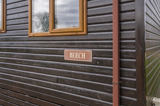 8677725-Beech-exterior01.jpg